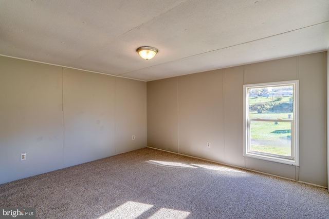 unfurnished room with a textured ceiling and carpet floors