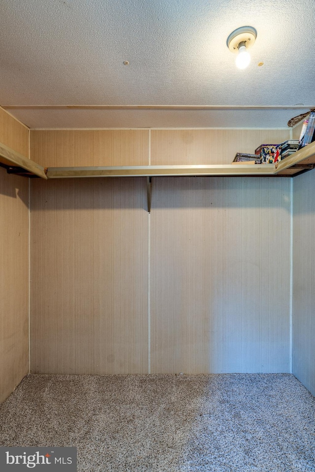 walk in closet with carpet