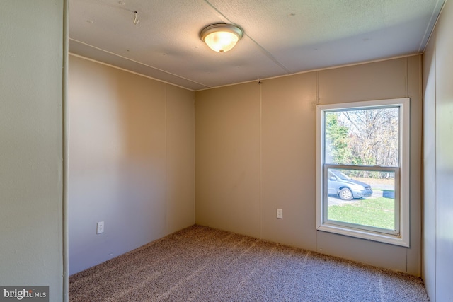 empty room featuring a textured ceiling and carpet floors