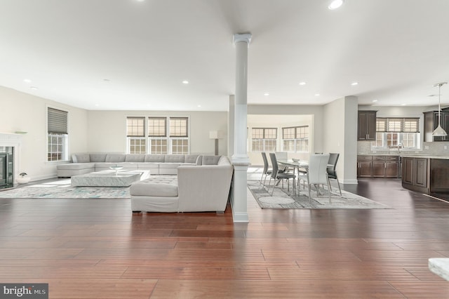 living room with a wealth of natural light, dark hardwood / wood-style flooring, and sink