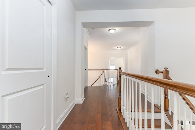 hallway with dark hardwood / wood-style floors and ornamental molding