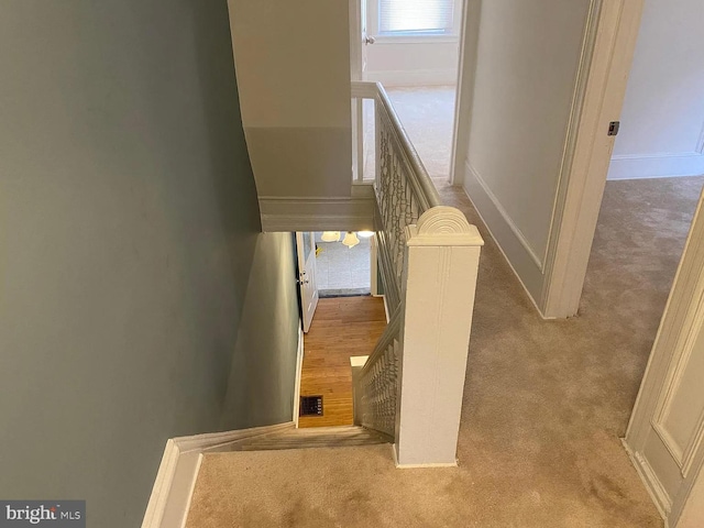 stairs with carpet flooring