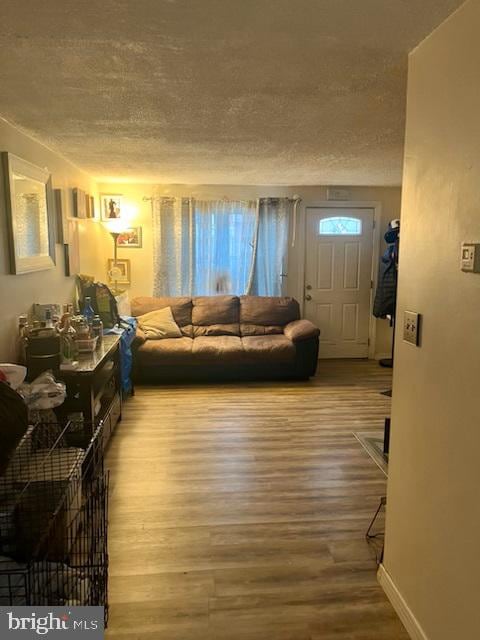 living room with a textured ceiling and hardwood / wood-style flooring