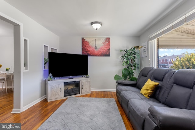 living room featuring hardwood / wood-style floors