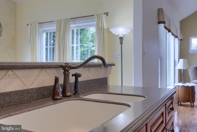 details with wood-type flooring and sink