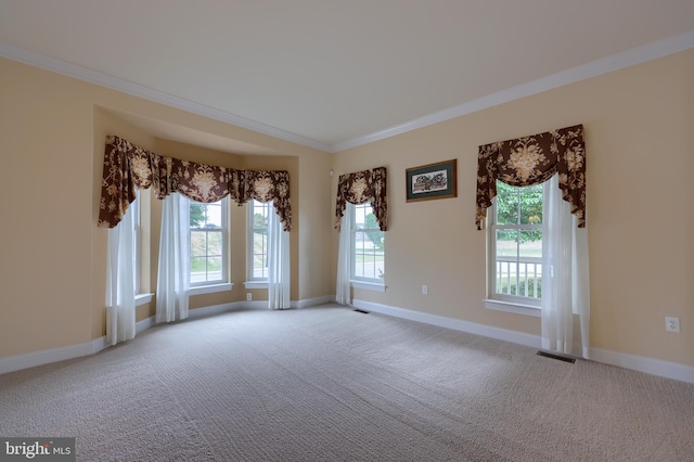 empty room featuring ornamental molding and light carpet