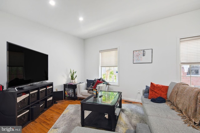 living room with a wealth of natural light and light hardwood / wood-style floors