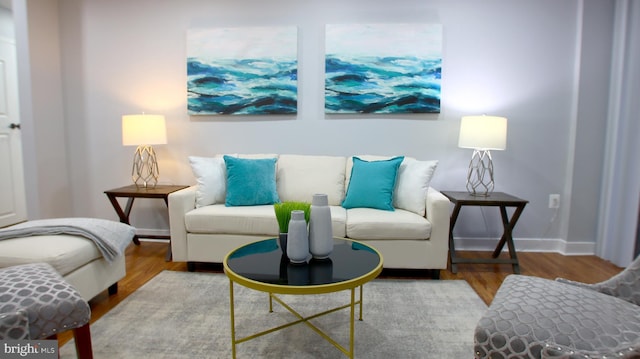 living room featuring hardwood / wood-style flooring