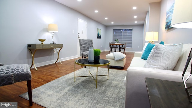 living room with wood-type flooring