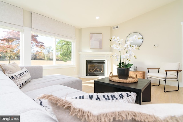 living room with light hardwood / wood-style floors