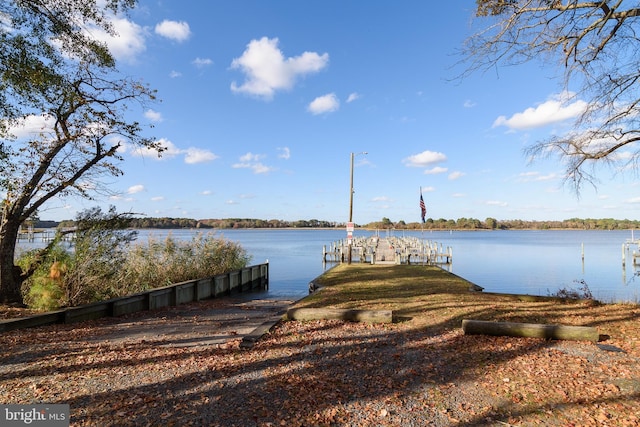 dock area with a water view