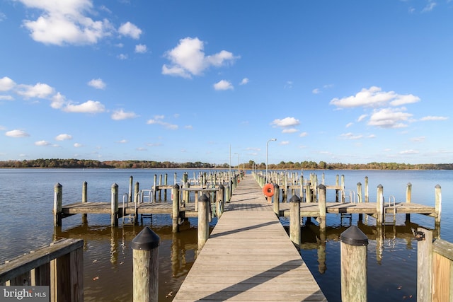 dock area featuring a water view