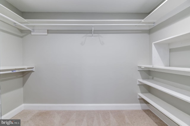 walk in closet with light carpet