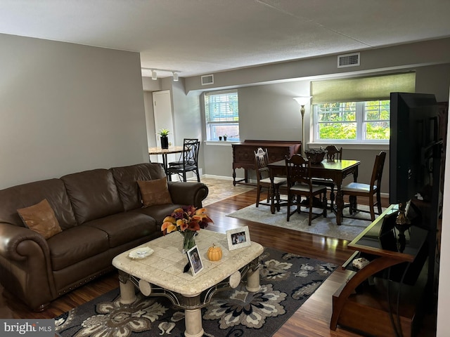 living room with wood-type flooring