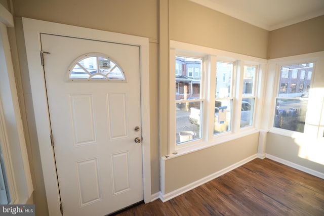 foyer entrance featuring dark hardwood / wood-style flooring