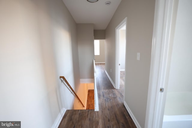 corridor featuring dark hardwood / wood-style floors