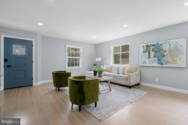 living room with light hardwood / wood-style flooring