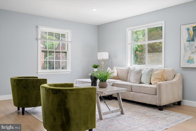 living room with light wood-type flooring and a healthy amount of sunlight