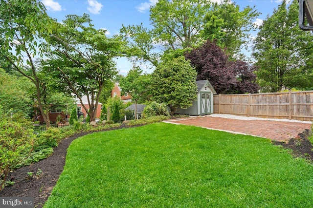 view of yard featuring a patio and a storage shed