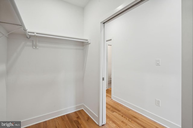 walk in closet with hardwood / wood-style flooring