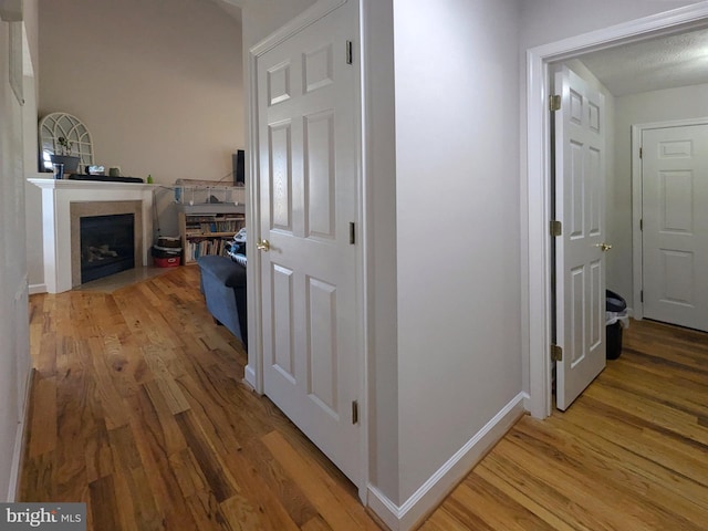 hallway featuring wood-type flooring