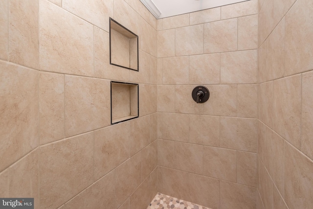 interior details featuring a tile shower