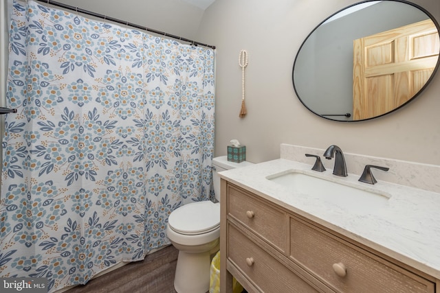 bathroom featuring hardwood / wood-style floors, vanity, and toilet