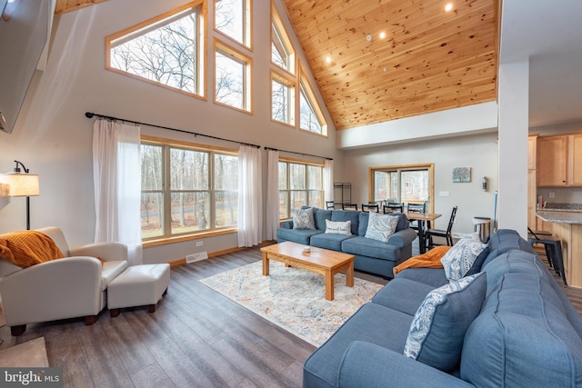 living room with high vaulted ceiling, dark hardwood / wood-style flooring, and a wealth of natural light