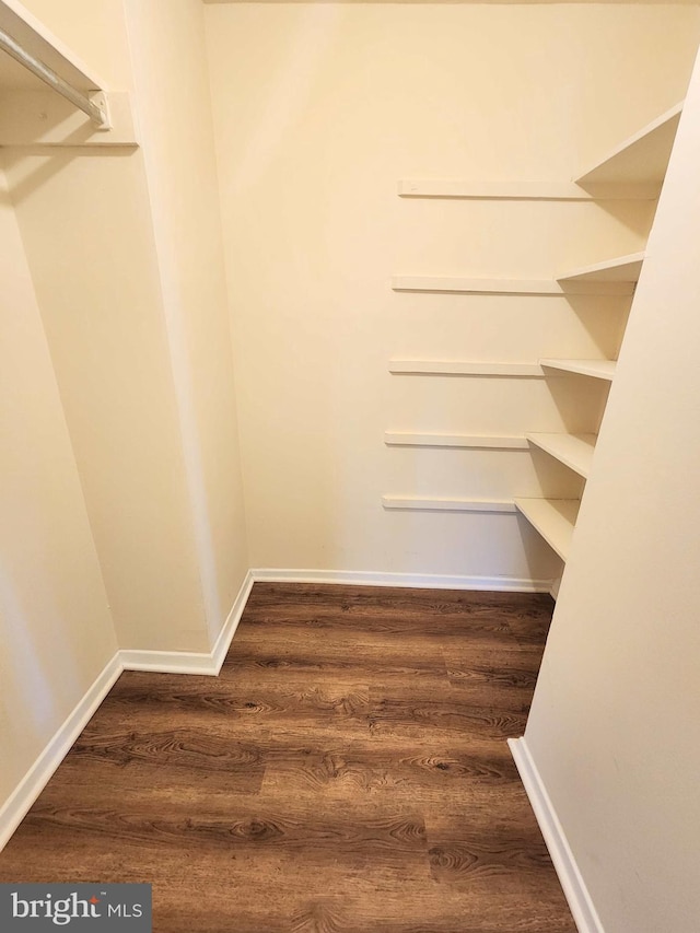 spacious closet featuring dark wood-type flooring