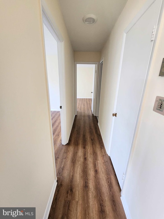 corridor featuring dark wood-type flooring