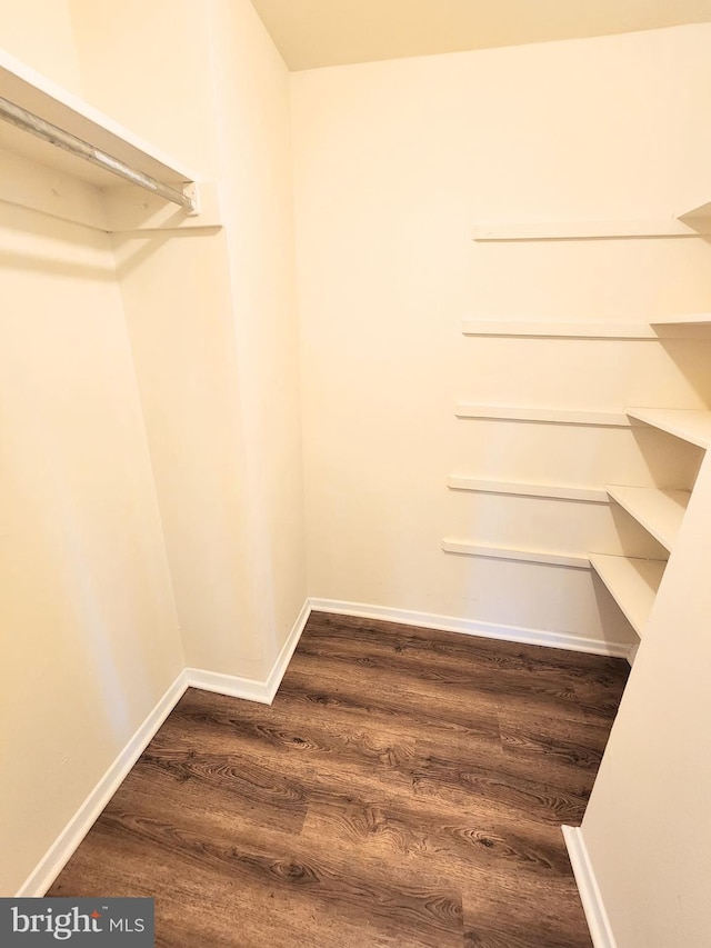 walk in closet with wood-type flooring