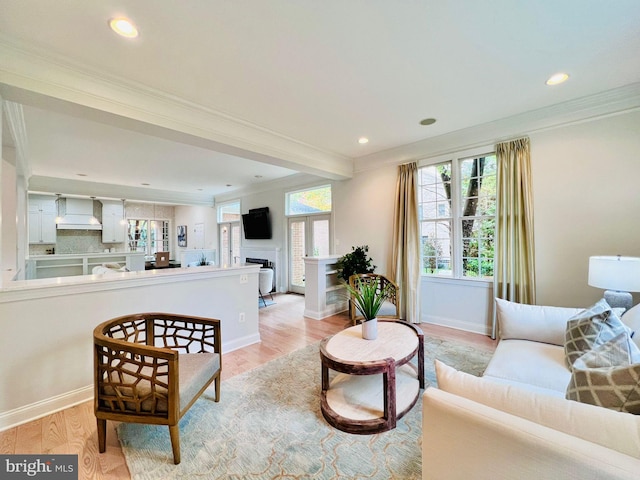 living room featuring ornamental molding and light wood-type flooring