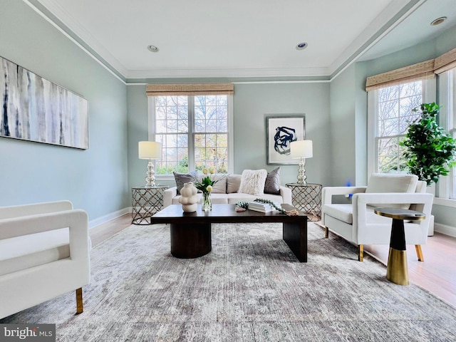 living room with ornamental molding and wood-type flooring