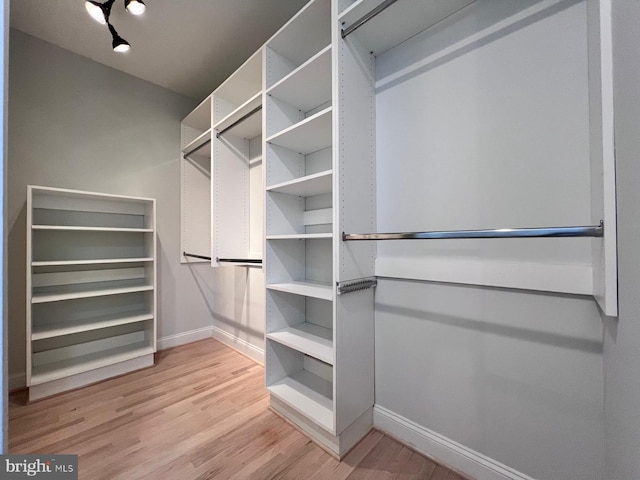 spacious closet featuring light hardwood / wood-style floors