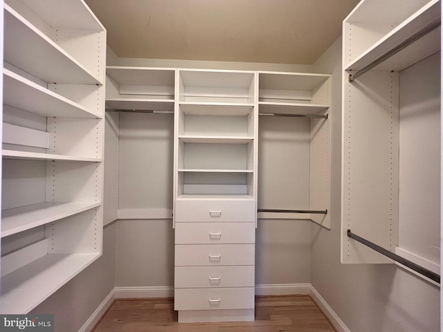 walk in closet featuring hardwood / wood-style floors