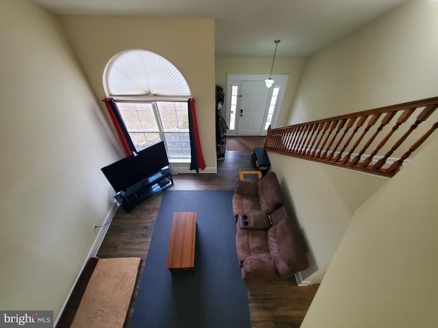 living room featuring dark wood-type flooring