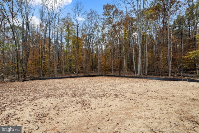 view of yard featuring a wooded view
