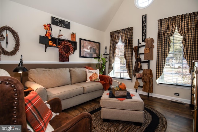 living room featuring high vaulted ceiling, a wealth of natural light, and wood-type flooring