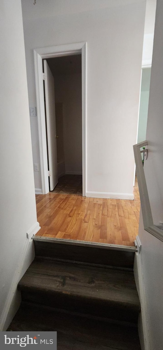 staircase with hardwood / wood-style floors