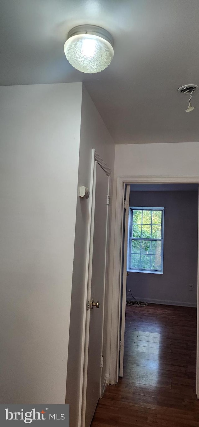 hallway with dark wood-type flooring