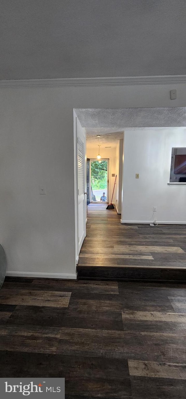 hall with dark hardwood / wood-style flooring, a textured ceiling, and ornamental molding