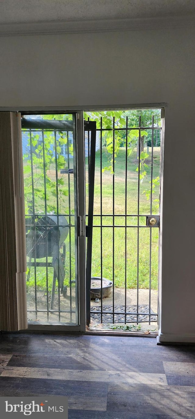 doorway with plenty of natural light and ornamental molding