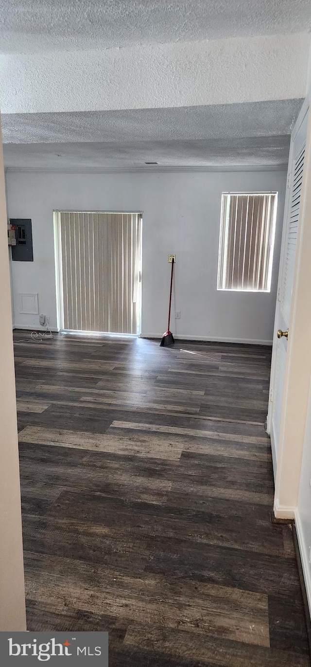 empty room featuring dark hardwood / wood-style flooring and a textured ceiling