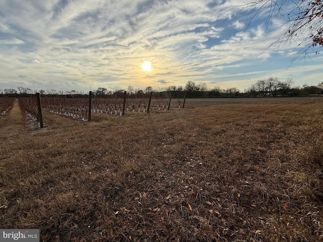 view of yard featuring a rural view