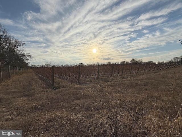 view of yard with a view of rural / pastoral area and agricultural plots