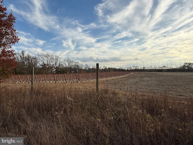 view of nature featuring a rural view