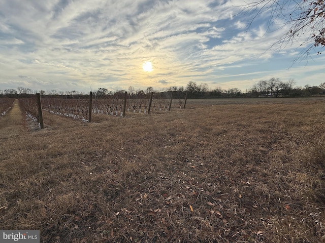 view of yard with a rural view