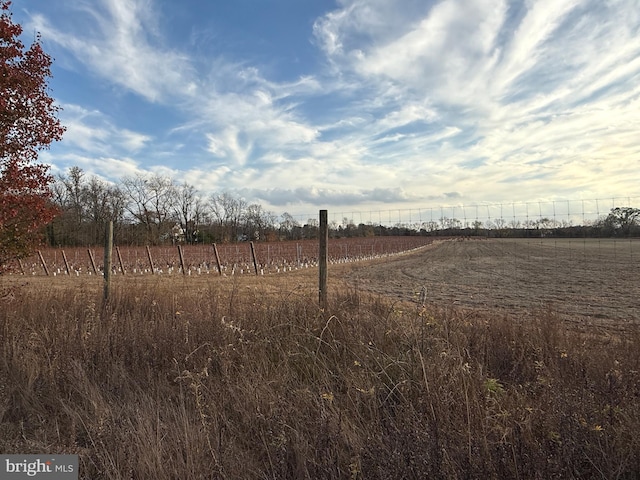 view of yard with a rural view