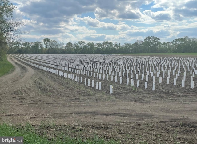 dock with agricultural plots and a rural view