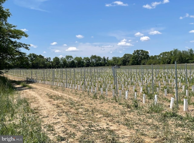 view of yard with a rural view and agricultural plots